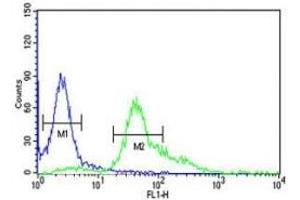 Flow Cytometry (FACS) image for anti-S100 Calcium Binding Protein A6 (S100A6) (AA 37-67) antibody (ABIN3032513)
