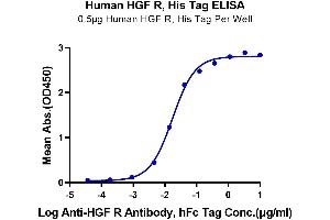 Immobilized Human HGF R, His Tag at 5 μg/mL (100 μL/Well) on the plate. (c-MET Protein (AA 25-932) (His-Avi Tag))