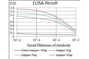 ELISA image for anti-Ribosomal Protein S6 Kinase, 90kDa, Polypeptide 2 (RPS6KA2) (AA 415-734) antibody (ABIN5542368)