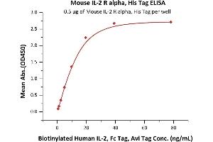 Immobilized Mouse IL-2 R alpha, His Tag (ABIN6731244,ABIN6809868) at 5 μg/mL (100 μL/well) can bind Biotinylated Human IL-2, Fc Tag, Avi Tag (ABIN6731255,ABIN6809921) with a linear range of 0.
