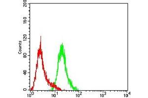 Flow cytometric analysis of Hela cells using PGR mouse mAb (green) and negative control (red). (Progesterone Receptor Antikörper  (AA 166-411))