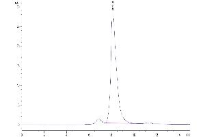 Size-exclusion chromatography-High Pressure Liquid Chromatography (SEC-HPLC) image for CD5 (CD5) (AA 25-375) protein (His-Avi Tag,Biotin) (ABIN7274210)