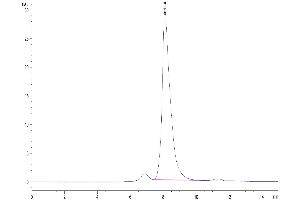The purity of Biotinylated Rhesus macaque CD5 is greater than 95 % as determined by SEC-HPLC. (CD5 Protein (CD5) (AA 25-375) (His-Avi Tag,Biotin))