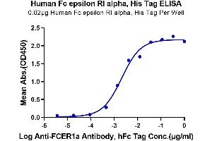 Immobilized Human Fc epsilon RI alpha, His Tag at 0. (Fc epsilon RI/FCER1A Protein (AA 26-205) (His tag))