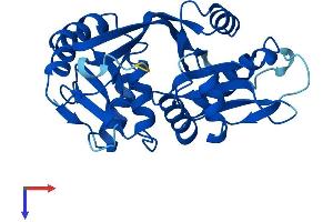 AlphaFold protein structure predicition of Human Recombinant GLYATL3 Protein, UniprotID Q5SZD4 (GLYATL3 Protein (AA 1-288) (His tag))