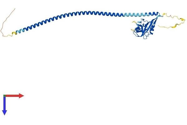 FCER2 Protein (AA 1-321) (His tag)