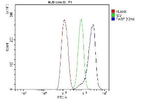 Flow Cytometry analysis of THP-1 cells using anti-PARP antibody (ABIN7602278). (PARP1 Antikörper  (AA 670-858))