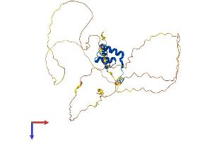 HOXD9 Protein (AA 1-352) (His tag)