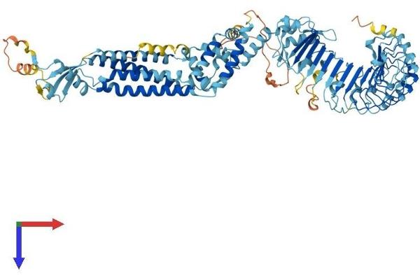 LRRC8B Protein (AA 1-803) (His tag)