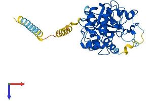 ST3GAL1 Protein (AA 1-340) (His tag)