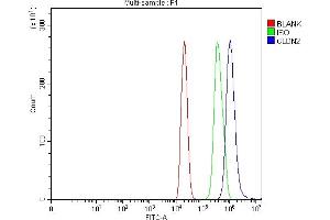 Flow Cytometry analysis of C6 cells using anti-Claudin 2/CLDN2 antibody (ABIN7603035).