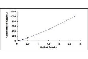 Typical standard curve (CRHBP ELISA Kit)