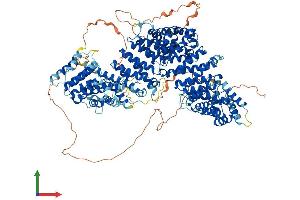 Protein Structure (PS) image for HEAT Repeat Containing 6 (HEATR6) (AA 1-1181) protein (His tag) (ABIN7554078)