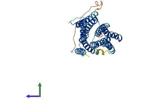 AlphaFold protein structure predicition of Mouse Recombinant Slc39a3 Protein, UniprotID Q99K24