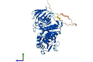PNKP Protein (AA 1-521) (His tag)