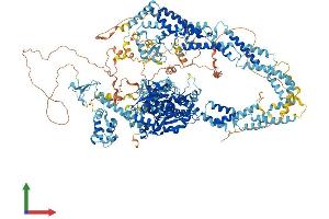 Protein Structure (PS) image for Lysine (K)-Specific Demethylase 5D (KDM5D) (AA 1-1548) protein (His tag) (ABIN7563958)