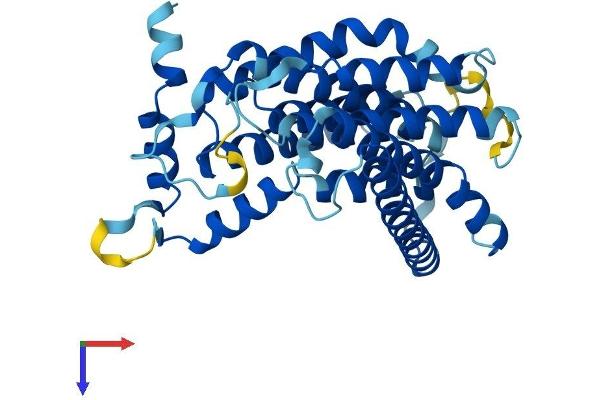 SGPP2 Protein (AA 1-354) (His tag)