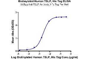 Thymic Stromal Lymphopoietin (TSLP) (AA 29-159) protein (His-Avi Tag,Biotin)