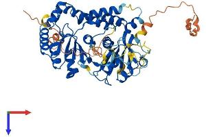 CDADC1 Protein (AA 1-514) (His tag)