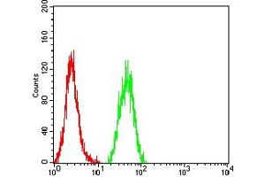 Flow cytometric analysis of Hela cells using SALL4 mouse mAb (green) and negative control (red). (SALL4 Antikörper  (AA 96-359))