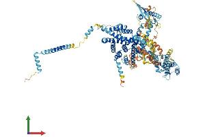 AlphaFold protein structure predicition of Human Recombinant SNX13 Protein, UniprotID Q9Y5W8