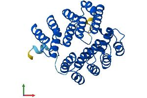 Protein Structure (PS) image for Deoxyhypusine Hydroxylase/monooxygenase (DOHH) (AA 1-302) protein (His tag) (ABIN7560381)