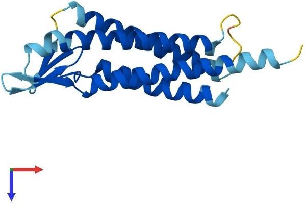 LIM2 Protein (AA 1-173) (His tag)
