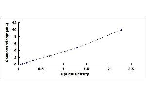 Typical standard curve (ABCB5 ELISA Kit)