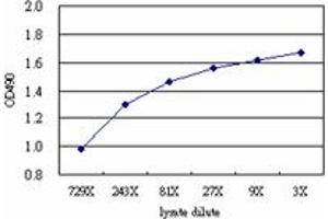 Sandwich ELISA detection sensitivity ranging from approximately 729x to 3x dilution of the ACY1 293T overexpression lysate (non-denatured).