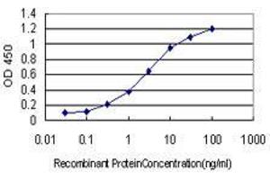 ELISA image for anti-Beta-secretase 1 (BACE1) (AA 22-501) antibody (ABIN2566113)