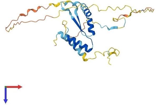 PRAS40 Protein (AA 1-256) (His tag)