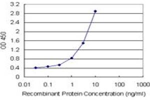 Sandwich ELISA detection sensitivity ranging from 0.