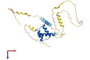 AlphaFold protein structure predicition of Human Recombinant DRGX Protein, UniprotID A6NNA5