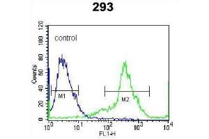 Flow Cytometry (FACS) image for anti-Kallikrein 6 (KLK6) antibody (ABIN5022442) (Kallikrein 6 Antikörper)