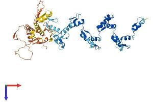 AlphaFold protein structure predicition of Human Recombinant ZNF77 Protein, UniprotID Q15935