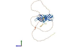 Protein Structure (PS) image for Heterogeneous Nuclear Ribonucleoprotein A3 (HNRNPA3) (AA 1-379) protein (His tag) (ABIN7558513)