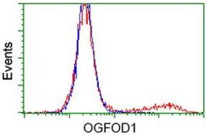 HEK293T cells transfected with either RC206839 overexpress plasmid (Red) or empty vector control plasmid (Blue) were immunostained by anti-OGFOD1 antibody (ABIN2454234), and then analyzed by flow cytometry. (OGFOD1 Antikörper)