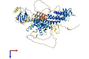 RASIP1 Protein (AA 1-963) (His tag)