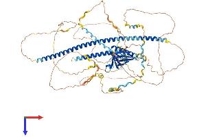 ENAH Protein (AA 1-802) (His tag)