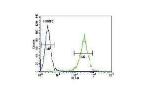 HSD17B12 Antibody (Center) (ABIN653300 and ABIN2842802) flow cytometric analysis of  cells (right histogram) compared to a negative control cell (left histogram). (HSD17B12 Antikörper  (AA 126-155))