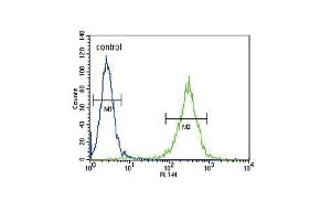 HSD17B12 Antibody (Center) (ABIN653300 and ABIN2842802) flow cytometric analysis of  cells (right histogram) compared to a negative control cell (left histogram).