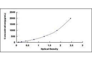 Phosphoglycerate Kinase 1 (PGK1) ELISA Kit