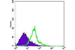 Flow Cytometry (FACS) image for anti-Wingless-Type MMTV Integration Site Family, Member 1 (WNT1) antibody (ABIN969458)