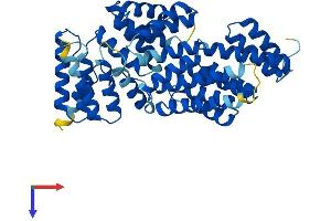 IFIT1 Protein (AA 1-463) (His tag)