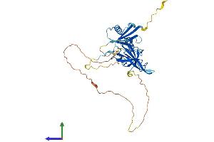 Protein Structure (PS) image for Par-6 Partitioning Defective 6 Homolog alpha (PARD6A) (AA 1-346) protein (His tag) (ABIN7556365)