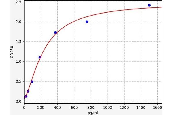 CX3CR1 ELISA Kit