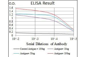 Image no. 1 for anti-Myeloproliferative Leukemia Virus Oncogene (MPL) antibody (ABIN1497161) (MPL Antikörper)