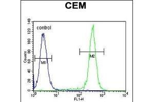 CCD Antibody (C-term) (ABIN654810 and ABIN2844484) flow cytometric analysis of CEM cells (right histogram) compared to a negative control cell (left histogram). (CCDC122 Antikörper  (C-Term))