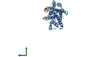 AlphaFold protein structure predicition of Human Recombinant SLC35G5 Protein, UniprotID Q96KT7 (AMAC1L2 Protein (AA 1-338) (His tag))