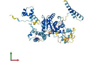 Protein Structure (PS) image for Jerky Homolog-Like (JRKL) (AA 1-524) protein (His tag) (ABIN7548720)